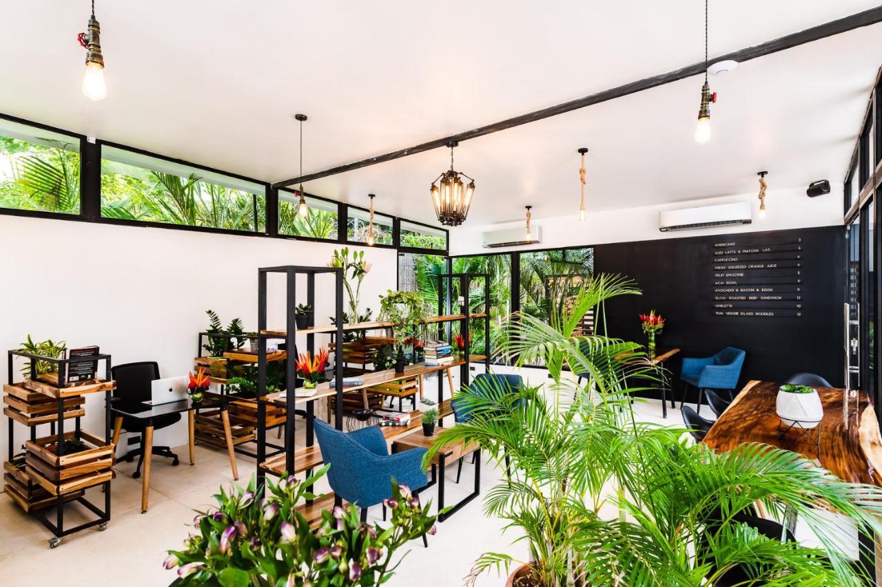In The Shade Hotel - Coworking - 300Mbit - Adults Only تاماريندو المظهر الخارجي الصورة