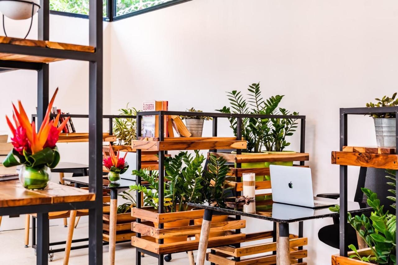 In The Shade Hotel - Coworking - 300Mbit - Adults Only تاماريندو المظهر الخارجي الصورة